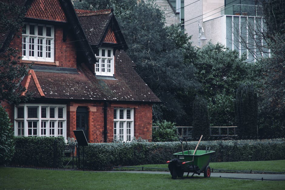 An aerial view of a lush green urban park featuring a variety of trees with vibrant and healthy foliage, some blossoming with white flowers, interspersed with grassy lawns and narrow dirt pathways. Th