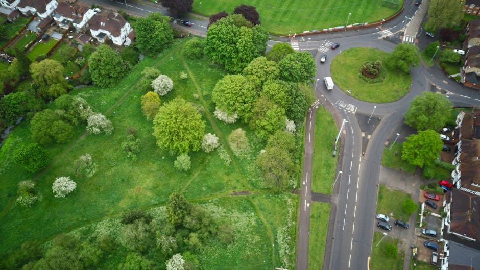 An aerial view of a green urban park adjacent to residential houses in Herne Hill, showing a mix of mature deciduous trees with fresh spring foliage and some with white blossoms, interspersed with gra